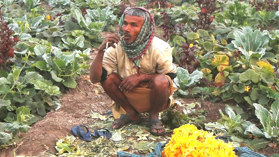 किसान किसान
