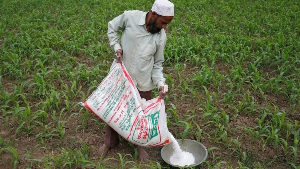 किसान किसान