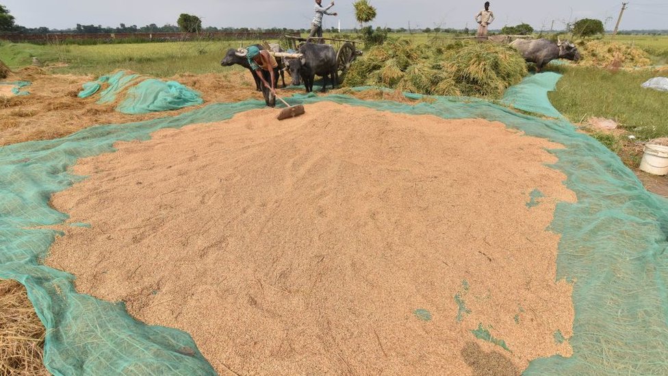 किसान किसान