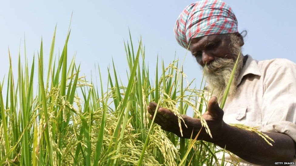 महाराष्ट्र किसान आंदोलन, किसान आंदोलन, महाराष्ट्र किसान आंदोलन, किसान आंदोलन,