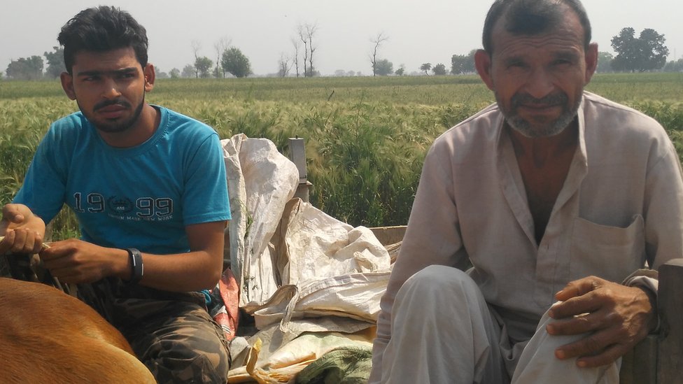 धर्मवीर किसान धर्मवीर किसान