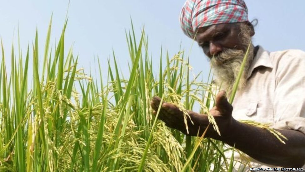 पंजाब सरकार के एक साल पूरे पंजाब सरकार के एक साल पूरे
