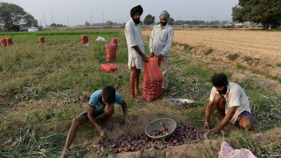 किसान किसान