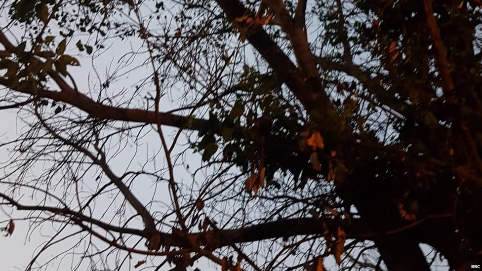 रेप पीड़िता, आत्महत्या रेप पीड़िता, आत्महत्या