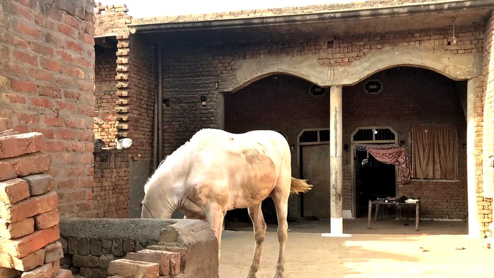 कांधला में बसी हमज़ा कालोनी कांधला में बसी हमज़ा कालोनी