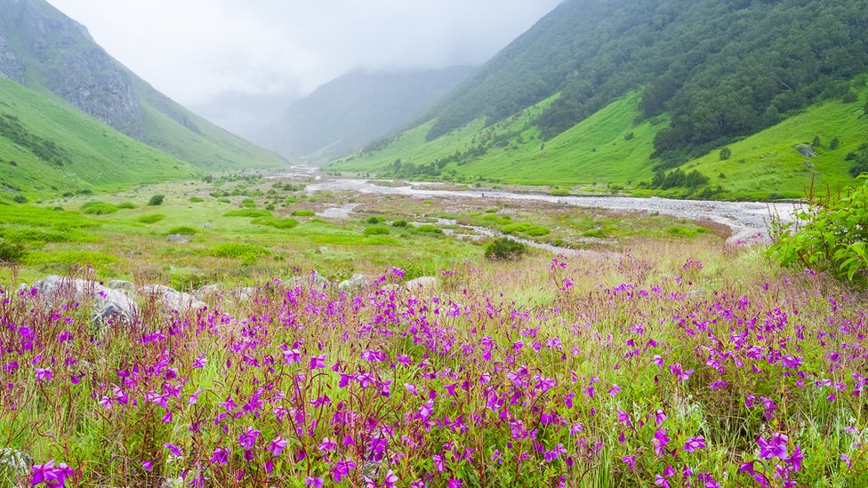 उत्तराखंड उत्तराखंड