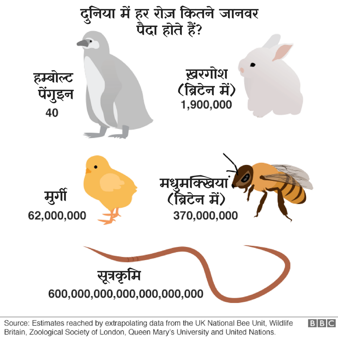जानवर जानवर