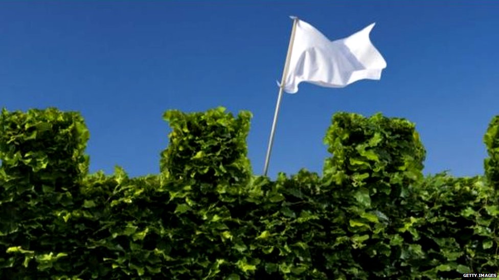 white flag white flag