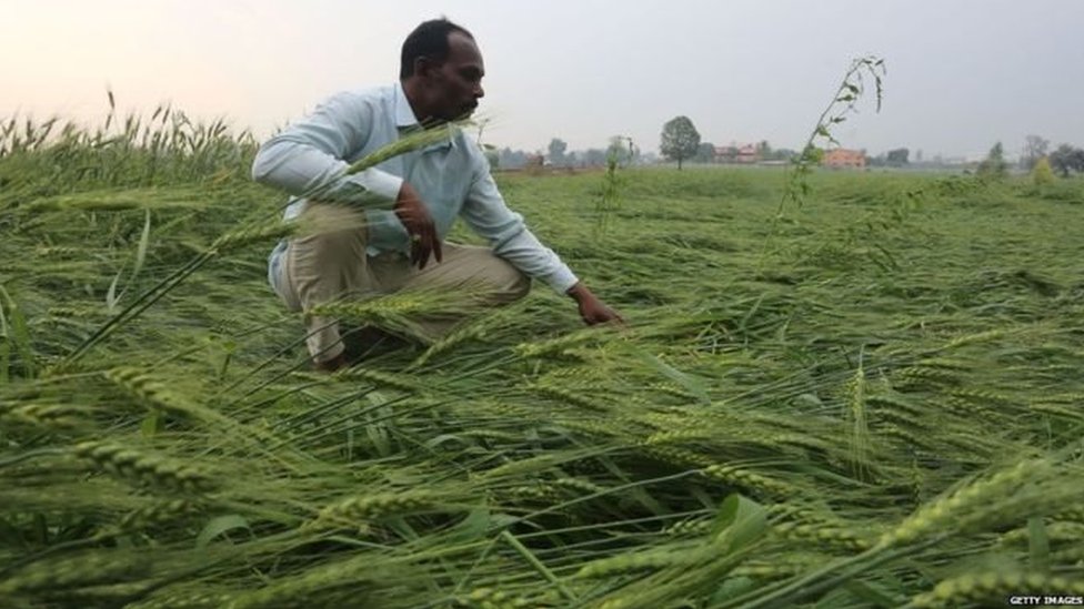 किसान किसान