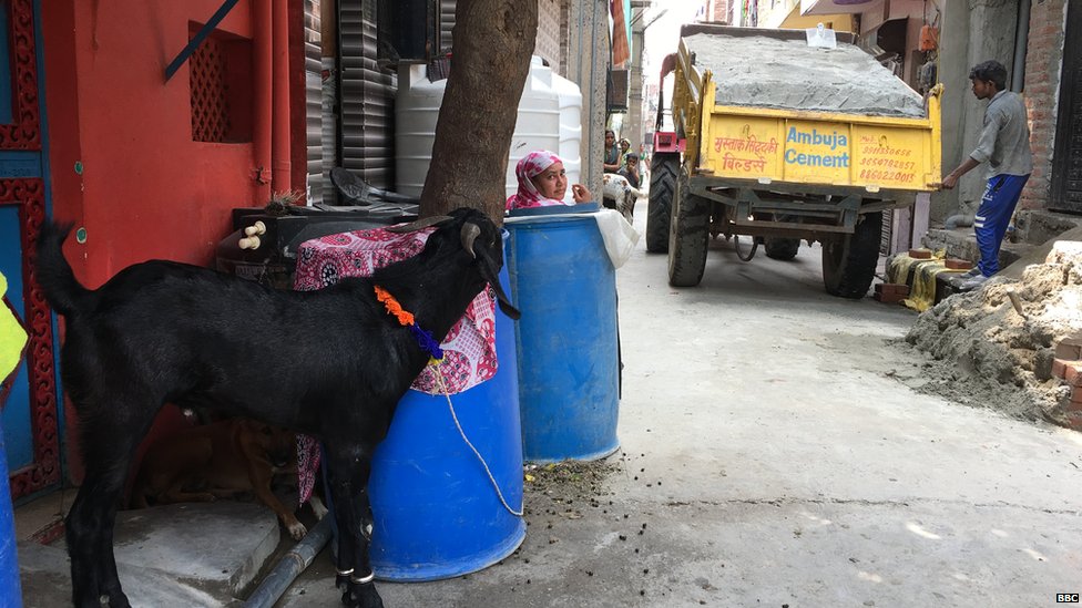 संगम विहार संगम विहार