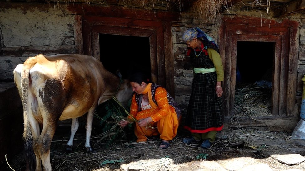 kullu kullu