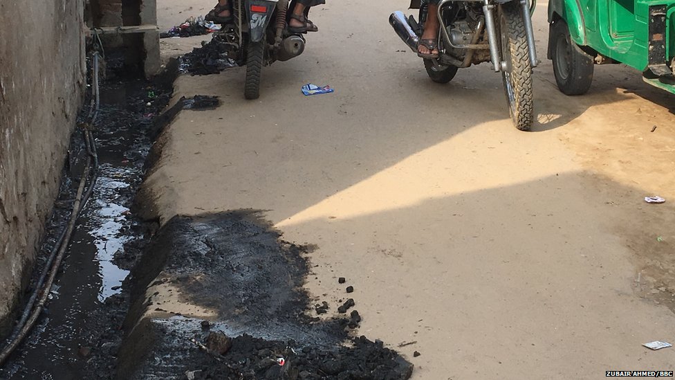 जयपुर ज़ीका जयपुर ज़ीका