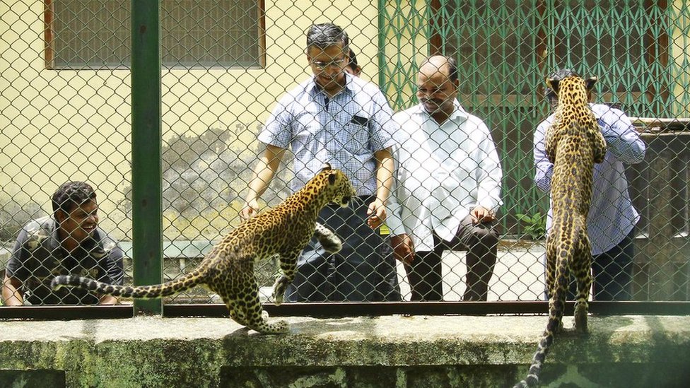 उत्तराखंड बाढ़ उत्तराखंड बाढ़