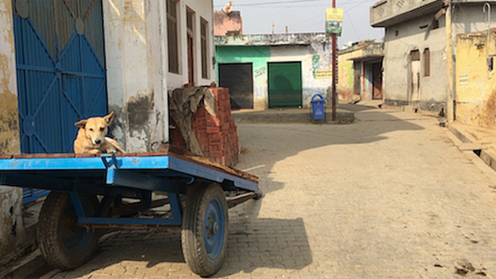 बुलंदशहर हिंसा बुलंदशहर हिंसा