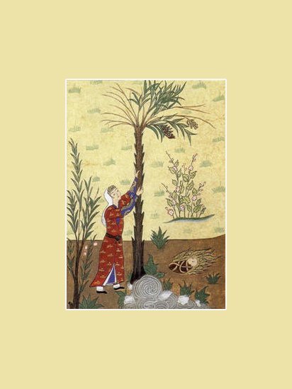कुरान, ईसा मसीह कुरान, ईसा मसीह