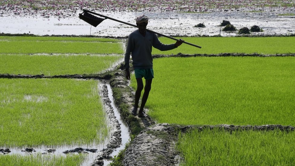 किसान किसान