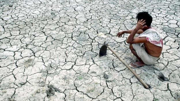 सूखे की मार सूखे की मार