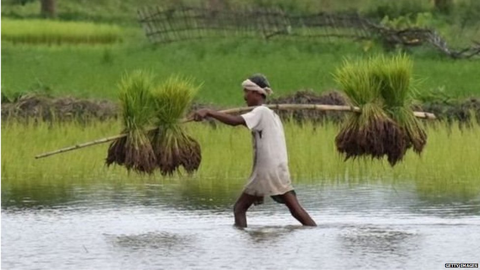 किसान की ख़ुदकुशी किसान की ख़ुदकुशी