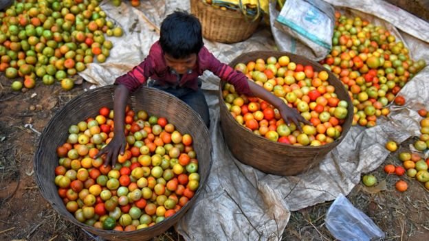 कृषि क्षेत्र कृषि क्षेत्र