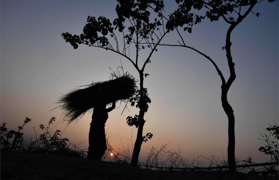 गोधूली बेला में महिला घास का गट्ठर लिए अपने घर लौट रही है गोधूली बेला में महिला घास का गट्ठर लिए अपने घर लौट रही है