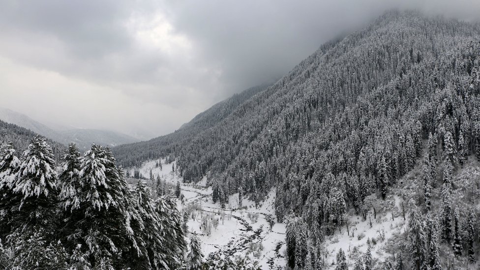कश्मीर कश्मीर