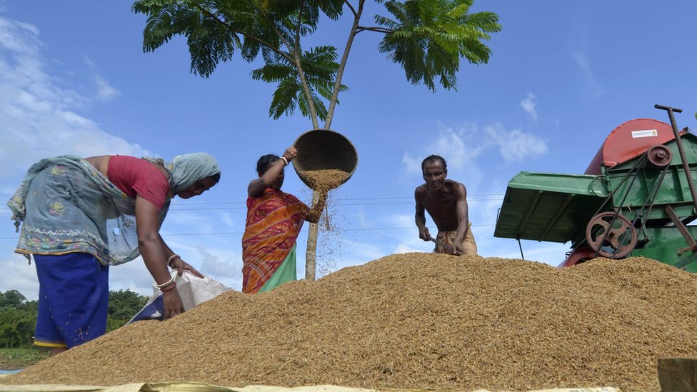 किसान किसान