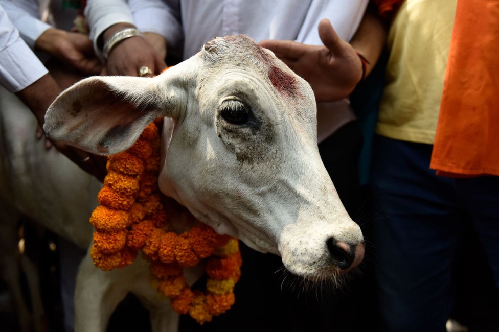 हिंदुत्व हिंदुत्व