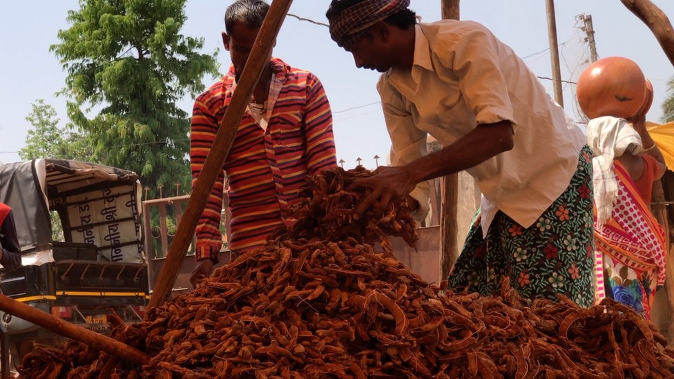 बस्तरः जहां विकास शब्द विस्थापना का पैग़ाम लेकर आता है बस्तरः जहां विकास शब्द विस्थापना का पैग़ाम लेकर आता है