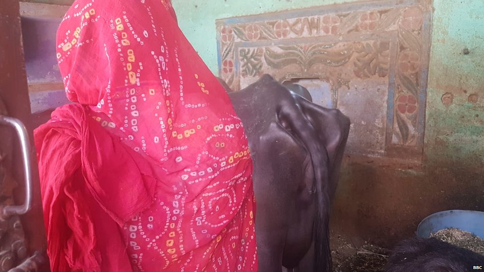 गांव की एक महिला गांव की एक महिला