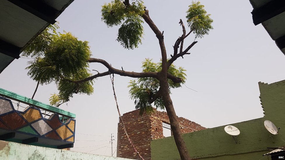 टप्पल में ढाई साल की बच्ची की हत्या टप्पल में ढाई साल की बच्ची की हत्या