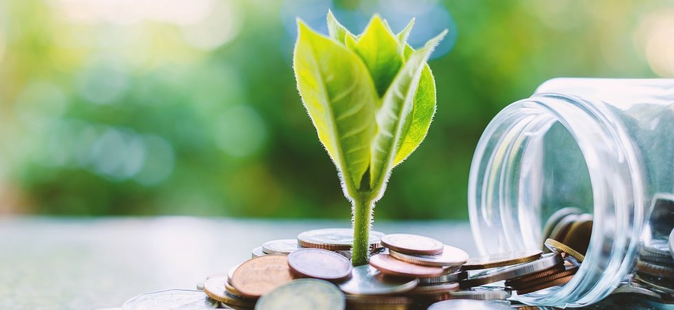 growing money growing money