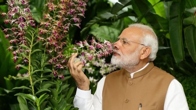 मोदी मोदी