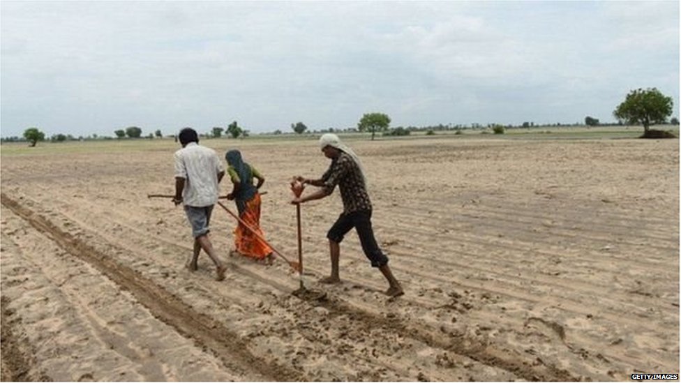 खेत में हल जोतते किसान खेत में हल जोतते किसान