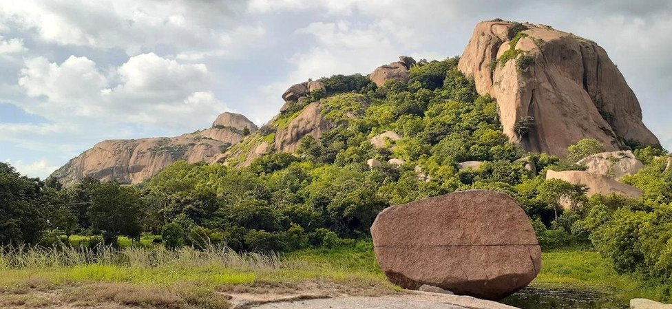 गिद्द संरक्षण पार्क, कर्नाटक गिद्द संरक्षण पार्क, कर्नाटक