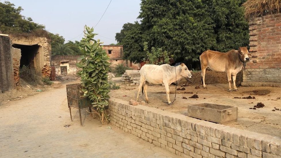 गांव का इलाका गांव का इलाका