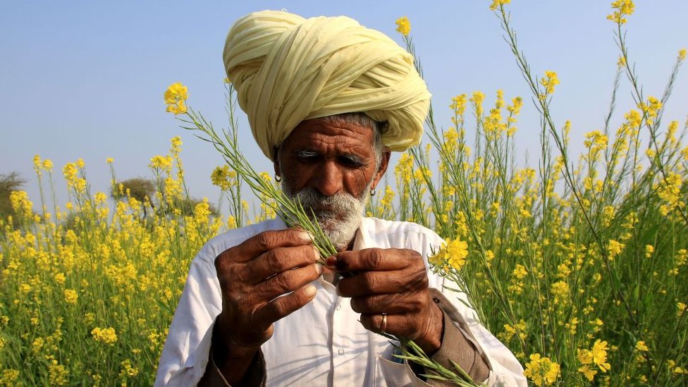 किसान किसान