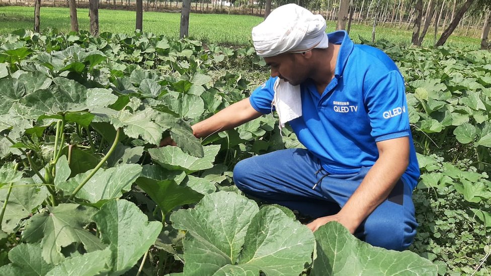 संजय त्रिपाठी संजय त्रिपाठी