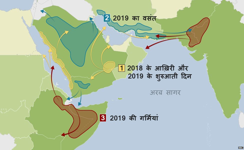 टिड्डियों का हमला टिड्डियों का हमला