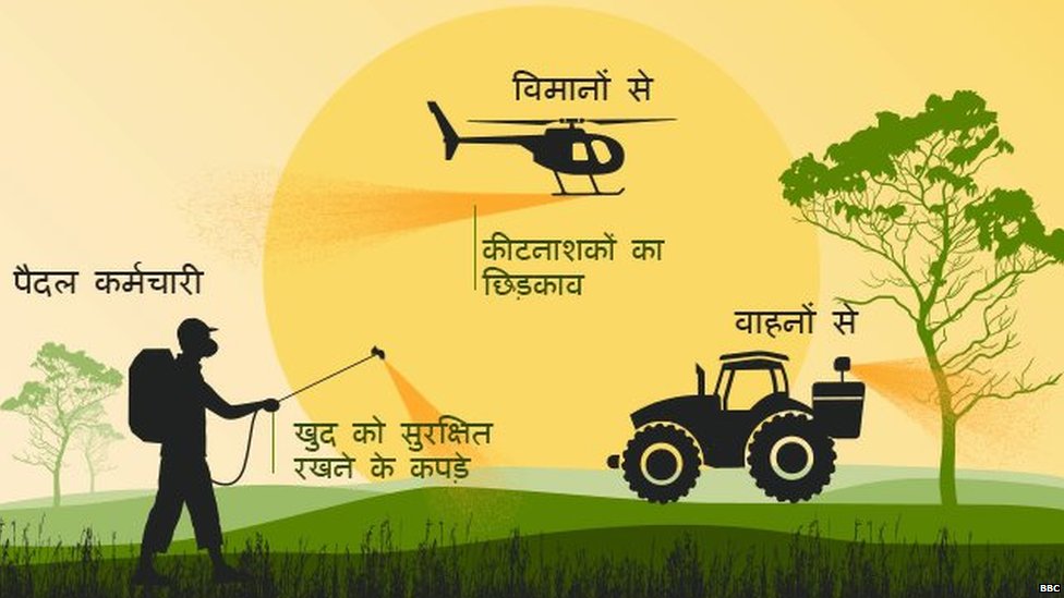 टिड्डियों का हमला टिड्डियों का हमला