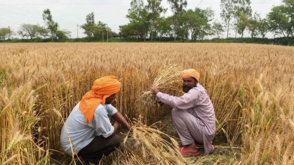 पंजाब में इस विधेयक का इसलिए जमकर हो रहा विरोध