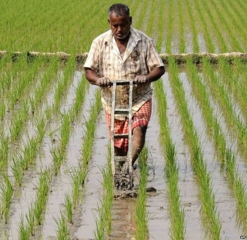 किसान किसान
