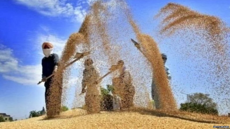 किसान आंदोलन किसान आंदोलन