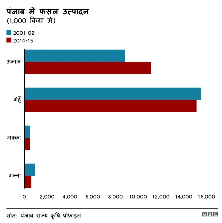 पंजाब में होने वाली फसलें पंजाब में होने वाली फसलें