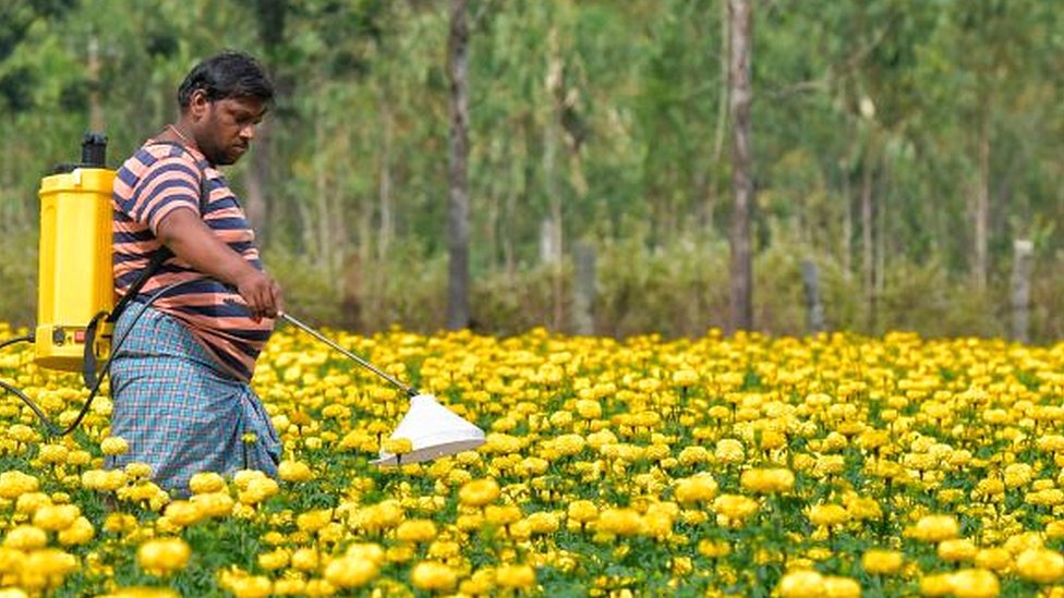 किसान किसान
