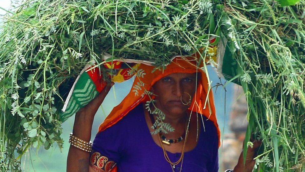 किसान, महिला किसान, महिला