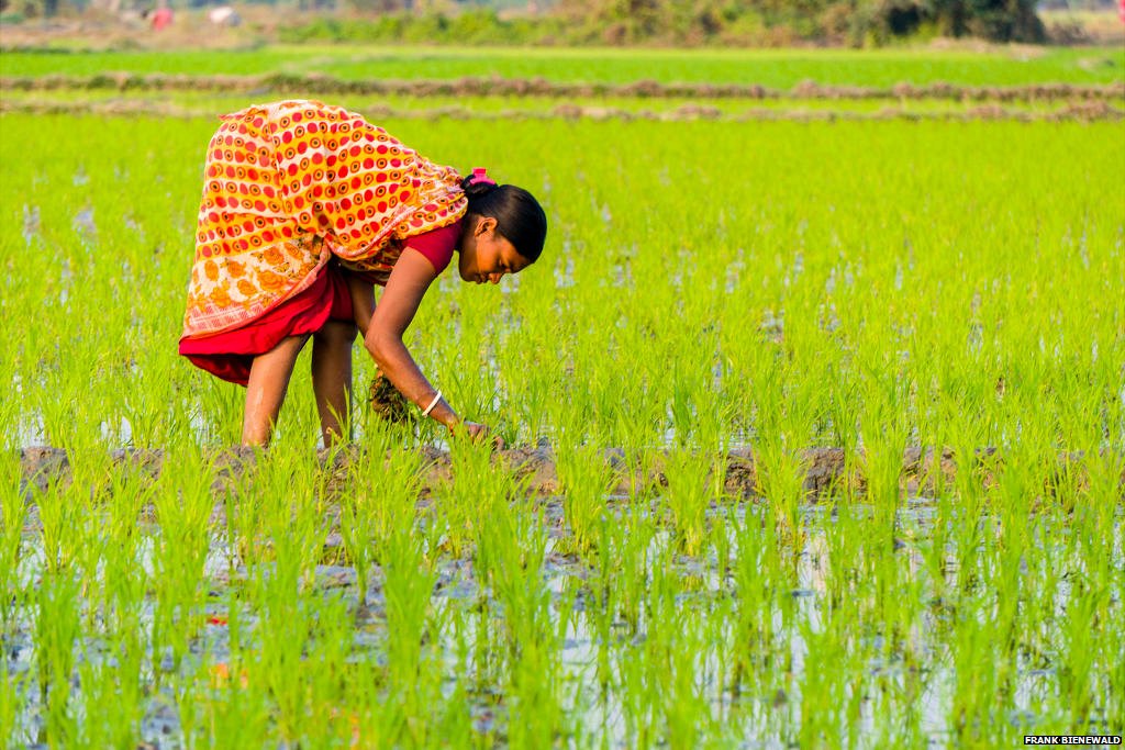 भारतीय किसान भारतीय किसान