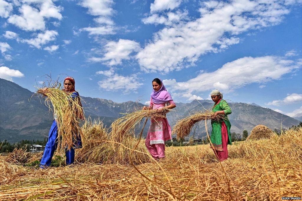 भारतीय किसान भारतीय किसान