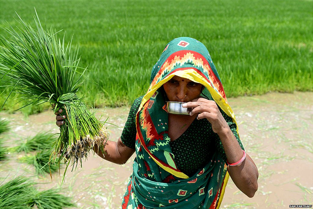 भारतीय किसान भारतीय किसान