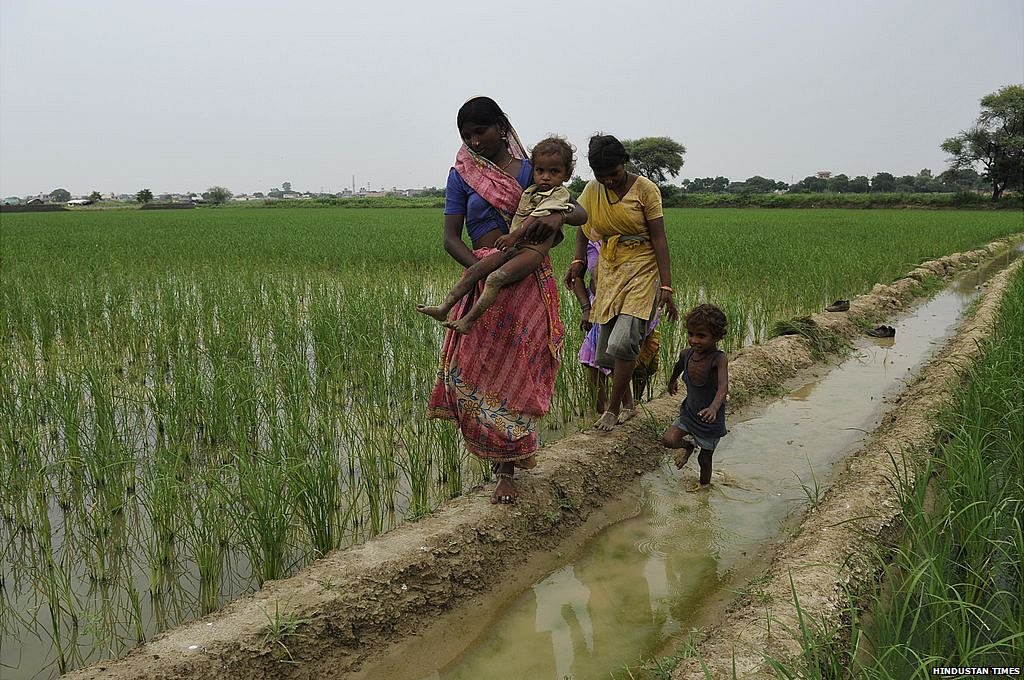 भारतीय किसान भारतीय किसान