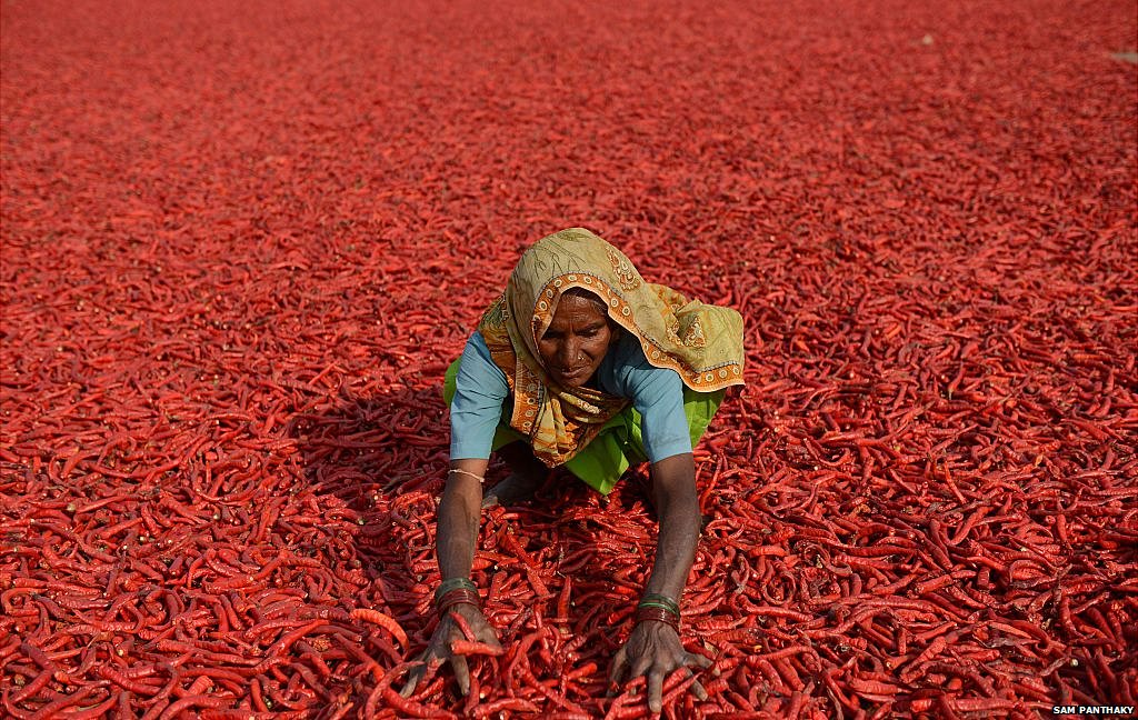 भारतीय किसान भारतीय किसान